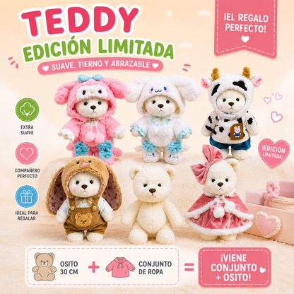 Osito Teddy 30cm articulado con ropa