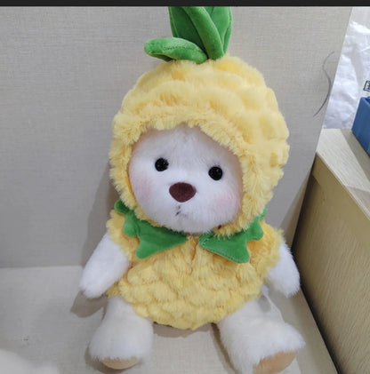 Edición Limitada de conjuntos de ropa Teddy