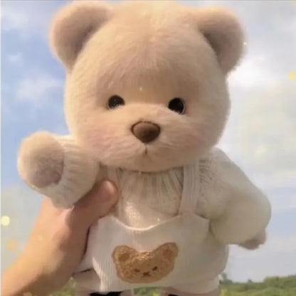 Edición Limitada de conjuntos de ropa Teddy