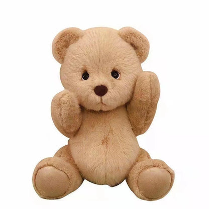 Edición Limitada de conjuntos de ropa Teddy